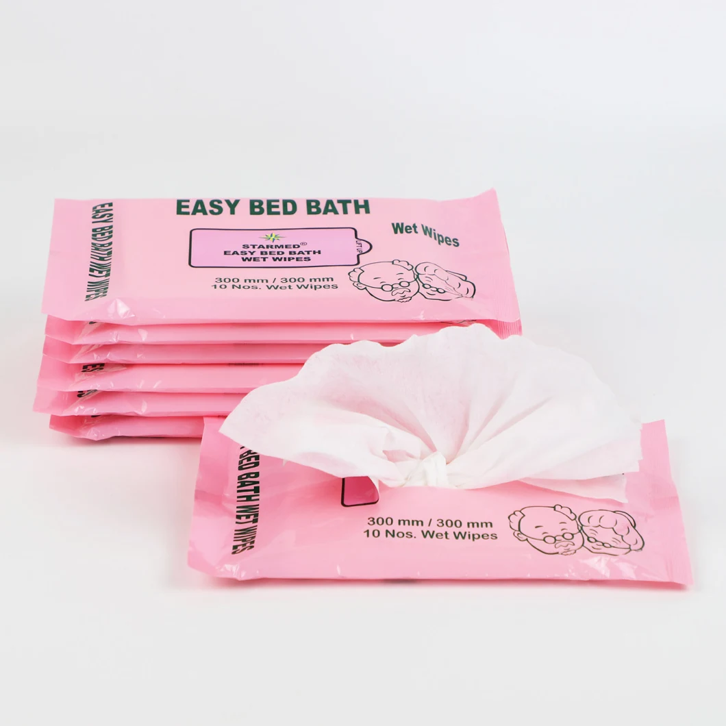 10 PCS Private Logo Hospital Elderly Patients Daily Body Care Elderly Wipes Adult